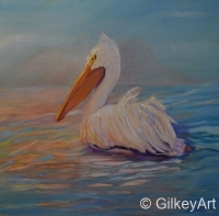 American-White-Pelican-Early