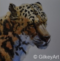 ws24-Leopard-Critically-Endangered