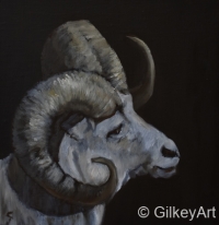 ws25-Big-Horned-Sheep