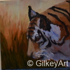 Amur-Tiger-Racine-Zoo10x10oil on linen