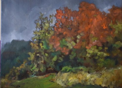 ws26-Autumn-at-the-Park Jefferson County Dog Park12x16linen