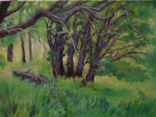 MT-Greens at the bottom-of-Argentina18x24linen