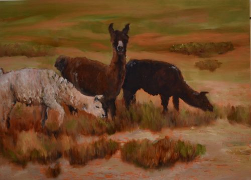 Llamas, San Pedro, Argentina12x16oil on wood