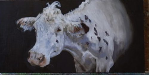 White-Cow10x20oil on linen